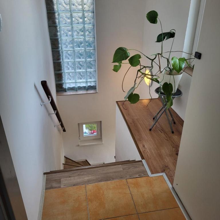Apartman ,,Rokytka" ปราก ภายนอก รูปภาพ